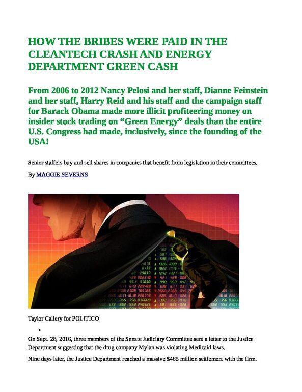 HOW-THE-BRIBES-WERE-PAID-IN-THE-CLEANTECH-CRASH-AND-ENERGY-DEPARTMENT-GREEN-CASH-pdf.jpg