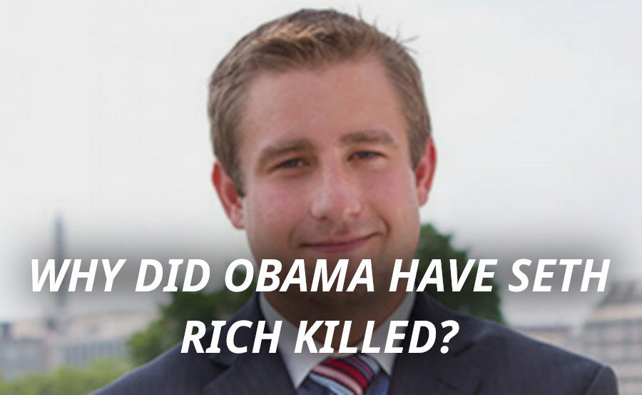 SETH_RICH_MURDERED_BY_ERIC_SCHMIDT.png