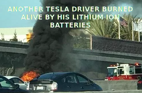 1TESLA_DRIVER_BURNED_ALIVE_HIGHWAY_1021_Elon_Musk_Corruption_And_Crappy_Engineering_Make_Tesla_Cars_So_Unsafe_.png