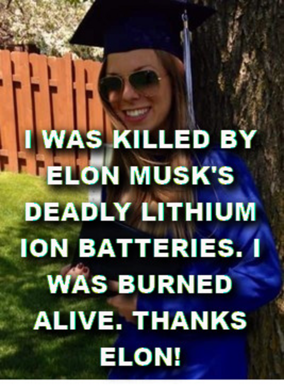 AFGHAN_LITHIUM_SCAM__casey_was_killed_by_a_tesla_-_MUSK.png