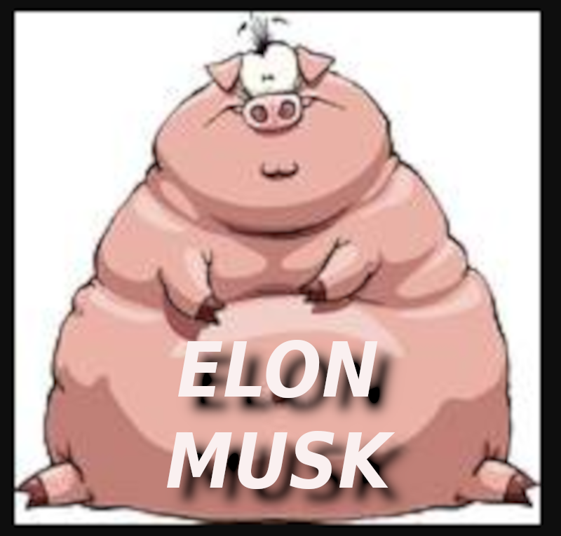 FAT_POLITICAL_PIG-ELON-MUSK-IS-A-CROOK-AND-SCAMMER-MUSK.png