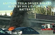 1TESLA_DRIVER_BURNED_ALIVE_HIGHWAY_1021_Elon_Musk_Corruption_And_Crappy_Engineering_Make_Tesla_Cars_So_Unsafe_.png