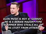 ELON-MUSK-THE-SCAMMER-GUY-MUSK.png