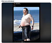 FAT_ELON_MUSK.png