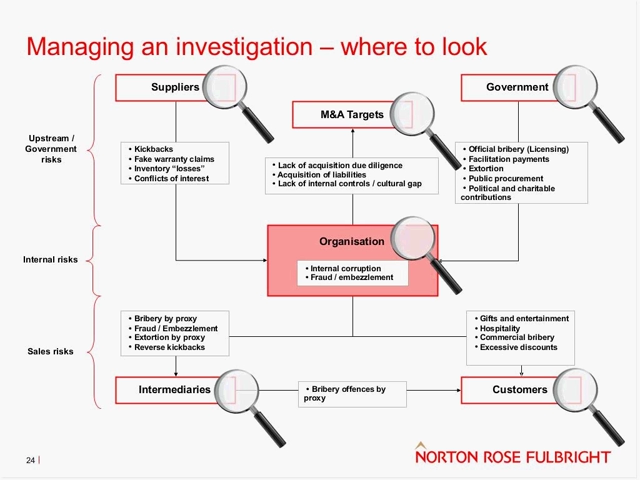 Crooked_Law_Firms_Teach_Oligarchs_How_To_Hide_Crooked_Cash_Still026.png