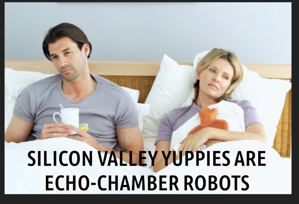 Silicon_Valleys_Sick_Sex_Life.png