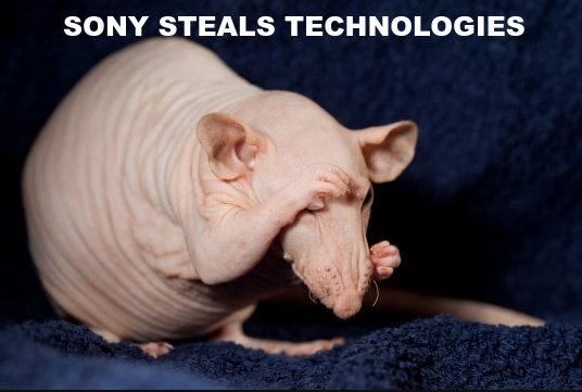 SONY SUCKS SONY PICTURES IS FULL OF RATS SILICON VALLEY SEX CULT_v1
Keywords: Rare Earth Mines Of Afghanistan, New America Foundation Corruption, Obama, Obama Campaign Finance, Obama FEC violations, Palo Alto Mafia, Paypal Mafia, Pelosi Corruption, Political bribes, Political Insider,  Eric Schmidts Sex Penthouse, SEC Investigation