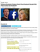 FACEBOOK-RIGS-ELECTIONS2-pdf-792x1024.jpg