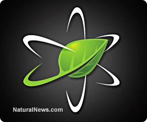 NaturalNews-Science-Logo ELON MUSK IS A LIAR SCAMMER POLITICAL BRIBERY CROOK
Keywords: Rare Earth Mines Of Afghanistan, New America Foundation Corruption, Obama, Obama Campaign Finance, Obama FEC violations, Palo Alto Mafia, Paypal Mafia, Pelosi Corruption, Political bribes, Political Insider,  Eric Schmidts Sex Penthouse, SEC Investigation