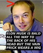 BALD-ELON-MUSK.png