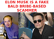 ELON-MUSK-IS-A-SCAM-MASTER-BALD-HEAD-1.png