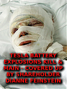 TESLA_BATTERIES_KILL_Elon_Musk_Corruption_And_Crappy_Engineering_Make_Tesla_Cars_So_Unsafe_.png