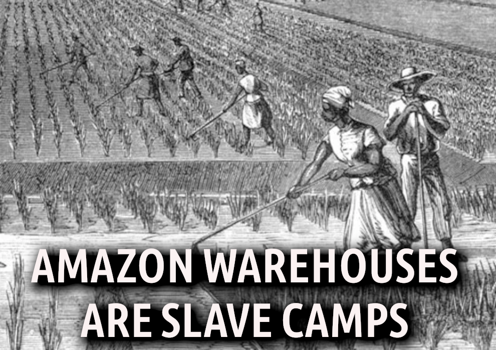 AMAZON_SLAVE_CAMPS
Keywords: Rare Earth Mines Of Afghanistan, New America Foundation Corruption, Obama, Obama Campaign Finance, Obama FEC violations, Palo Alto Mafia, Paypal Mafia, Pelosi Corruption, Political bribes, Political Insider,  Eric Schmidts Sex Penthouse, SEC Investigation